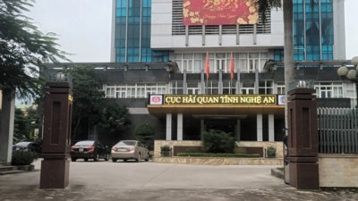 Nợ thuế gần 4,8 tỷ đồng, Công ty Đầu tư An Việt bị cưỡng chế