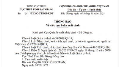 Giám đốc Công ty CP Thương mại Sơn Thạch bị hoãn xuất cảnh