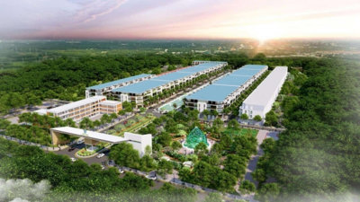 Đầu tư vào khu công nghiệp Việt Nam sẽ được hưởng thủ tục đặc biệt?