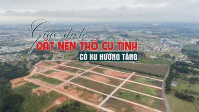 Giao dịch đất nền thổ cư ở tỉnh có xu hướng tăng