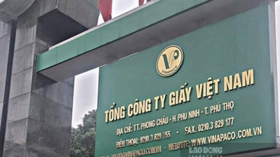 Tổng công ty Giấy Việt Nam bị xử phạt gần 1,9 tỷ đồng