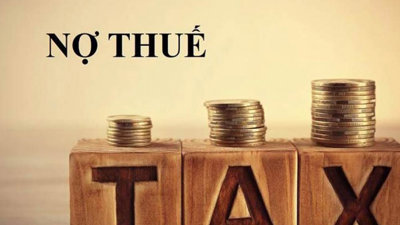 Xăng dầu Tân Nhật Minh nợ thuế 95,2 tỷ đồng