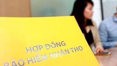 Bảo hiểm nhân thọ lợi nhuận âm: Chuyển giá hay chịu lỗ chờ thời? Bảo hiểm nhân thọ lợi nhuận âm: Chuyển giá hay chịu lỗ chờ thời?