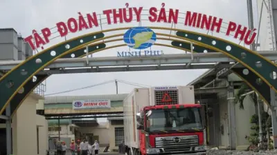 Thuỷ sản Minh Phú lãi hơn 17 tỷ đồng trong quý 1/2025 Thuỷ sản Minh Phú lãi hơn 17 tỷ đồng trong quý 1/2025