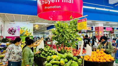 Phê duyệt Chương trình khuyến mại tập trung quốc gia 2025 Phê duyệt Chương trình khuyến mại tập trung quốc gia 2025
