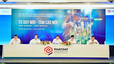 ĐHĐCĐ Phát Đạt: Sắp 'bung hàng' tại Bình Dương, Đồng Nai, mục tiêu doanh thu 50.000 tỷ