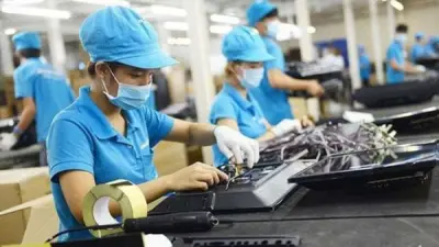 Hơn 80,8 nghìn doanh nghiệp ngừng hoạt động trong 6 tháng Hơn 80,8 nghìn doanh nghiệp ngừng hoạt động trong 6 tháng