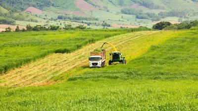 Quảng Ninh: Nhà đầu tư muốn rót 5 tỷ USD làm dự án năng lượng xanh tại KCN Hải Hà
