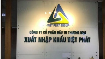 Công bố thông tin sai lệch, Công ty Xuất nhập khẩu Việt Pháp bị phạt