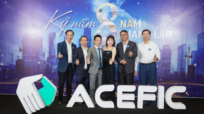 Loạt công ty thành viên ACE Thái Bình Dương chậm đóng BHXH