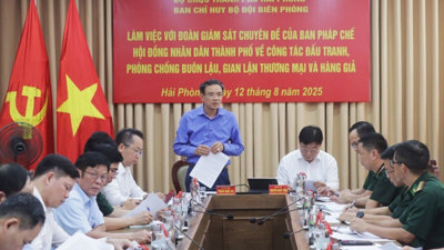 Hải Phòng: Tăng cường công tác chống buôn lậu, gian lận thương mại và hàng giả Hải Phòng: Tăng cường công tác chống buôn lậu, gian lận thương mại và hàng giả