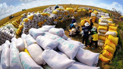 Xuất khẩu gạo đứng thứ 2 thế giới, Thủ tướng chỉ đạo thần tốc để giữ vị thế Xuất khẩu gạo đứng thứ 2 thế giới, Thủ tướng chỉ đạo thần tốc để giữ vị thế