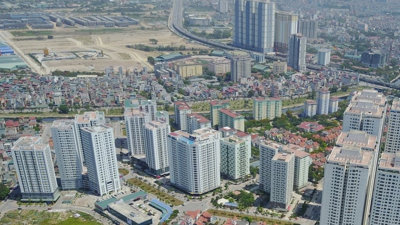 Bỏ tiêu chí kinh nghiệm khi chọn nhà đầu tư: Hết cảnh 'mượn' năng lực của nhau