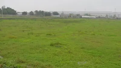 Đề nghị không miễn thuế đất nông nghiệp được giao nhưng bỏ hoang