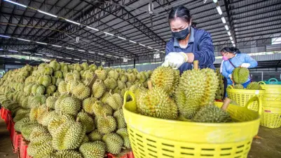 HAGL thông qua kế hoạch phát hành 210 triệu cổ phiếu để hoán đổi nợ HAGL thông qua kế hoạch phát hành 210 triệu cổ phiếu để hoán đổi nợ