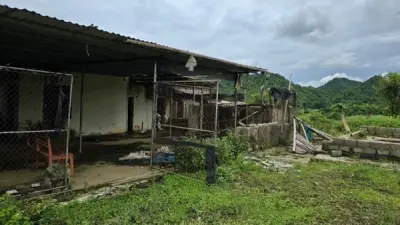 Đắp chiếu nhiều năm, dự án Công ty Giống chăn nuôi miền Bắc bị thu hồi đất
