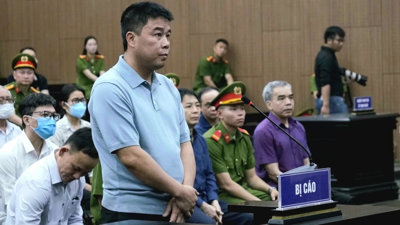 Hậu 'Pháo’ bị cáo buộc lừa chiếm 7.000 tỷ tiền bán đất bất hợp pháp