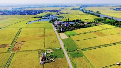 Bộ Tài chính đề xuất mức thu khi chuyển mục đích sử dụng đất nông nghiệp sang đất ở Bộ Tài chính đề xuất mức thu khi chuyển mục đích sử dụng đất nông nghiệp sang đất ở