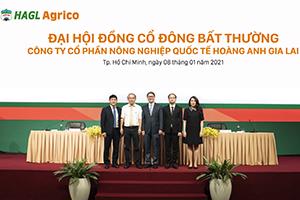Ông Trần Bá Dương kiêm thêm chức Chủ tịch HĐQT HAGL Agrico