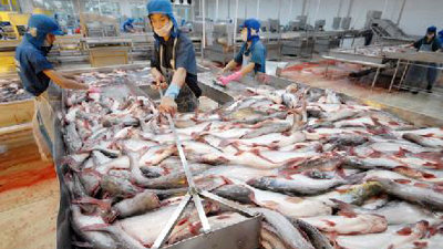 Cổ phiếu cần quan tâm ngày 24/3