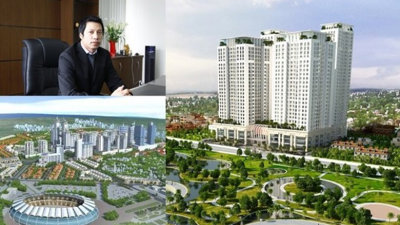 Đại gia thâu tóm hơn 1,5ha đất “kim cương” Giảng Võ giàu cỡ nào?