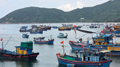 Phú Yên: Sản lượng thuỷ sản 6 tháng đầu năm đạt trên 61% so với kế hoạch