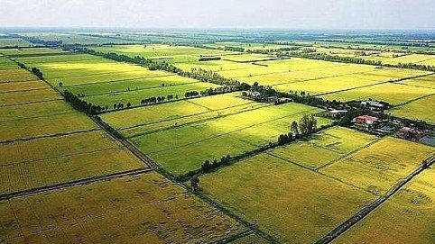 Người dân phải nộp phí rất cao khi chuyển mục đích sử dụng đất, Bộ Nông nghiệp nói gì?