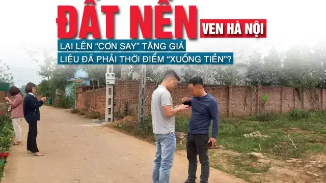 tinnhanhnhadat.vn