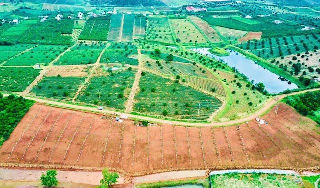 Huyện Đạ Hoai (Lâm Đồng) ngày càng thu hút nhiều nhà đầu tư. Huyện Đạ Hoai (Lâm Đồng) ngày càng thu hút nhiều nhà đầu tư.