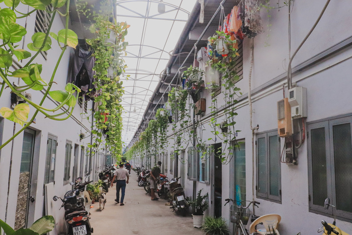 Nhà đầu tư bất động sản cá nhân: 'Trông giỏ bỏ thóc' - Ảnh 2 Nhà đầu tư bất động sản cá nhân: 'Trông giỏ bỏ thóc' - Ảnh 2