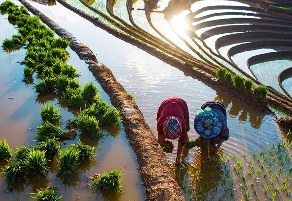 Kêu gọi đầu tư, phát triển du lịch nông nghiệp - Ảnh 1 Kêu gọi đầu tư, phát triển du lịch nông nghiệp - Ảnh 1