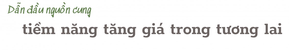 [Longform] Tọa độ mới của thị trường BĐS phía Đông Hà Nội - Ảnh 4