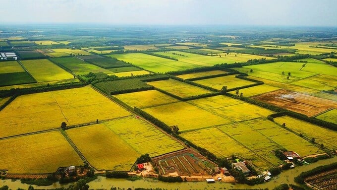 Đất nông nghiệp cần được chuyển đổi mục đích sử dụng trước khi tiến hành xây nhà ở thì mới không bị xử phạt. Ảnh: Internet Đất nông nghiệp cần được chuyển đổi mục đích sử dụng trước khi tiến hành xây nhà ở thì mới không bị xử phạt. Ảnh: Internet