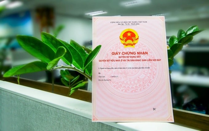 Ảnh minh họa Ảnh minh họa