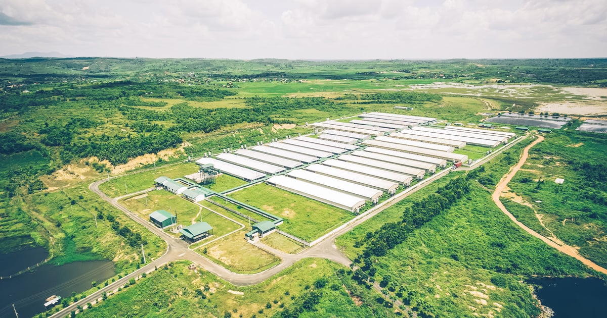 Mô hình trang trại GreenFeed Việt Nam Mô hình trang trại GreenFeed Việt Nam