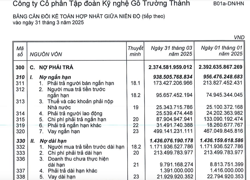Gỗ Trường Thành: Gánh nợ gần 2.400 tỷ, bị truy đòi 14 tỷ tiền thuế - Ảnh 1 Gỗ Trường Thành: Gánh nợ gần 2.400 tỷ, bị truy đòi 14 tỷ tiền thuế - Ảnh 1