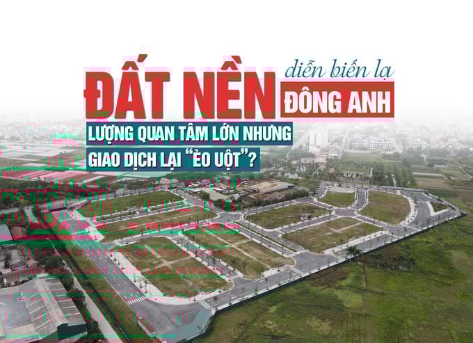Đất nền Đông Anh diễn biến lạ: Lượng quan tâm lớn nhưng giao dịch lại “èo uột”? - Ảnh 1 Đất nền Đông Anh diễn biến lạ: Lượng quan tâm lớn nhưng giao dịch lại “èo uột”? - Ảnh 1