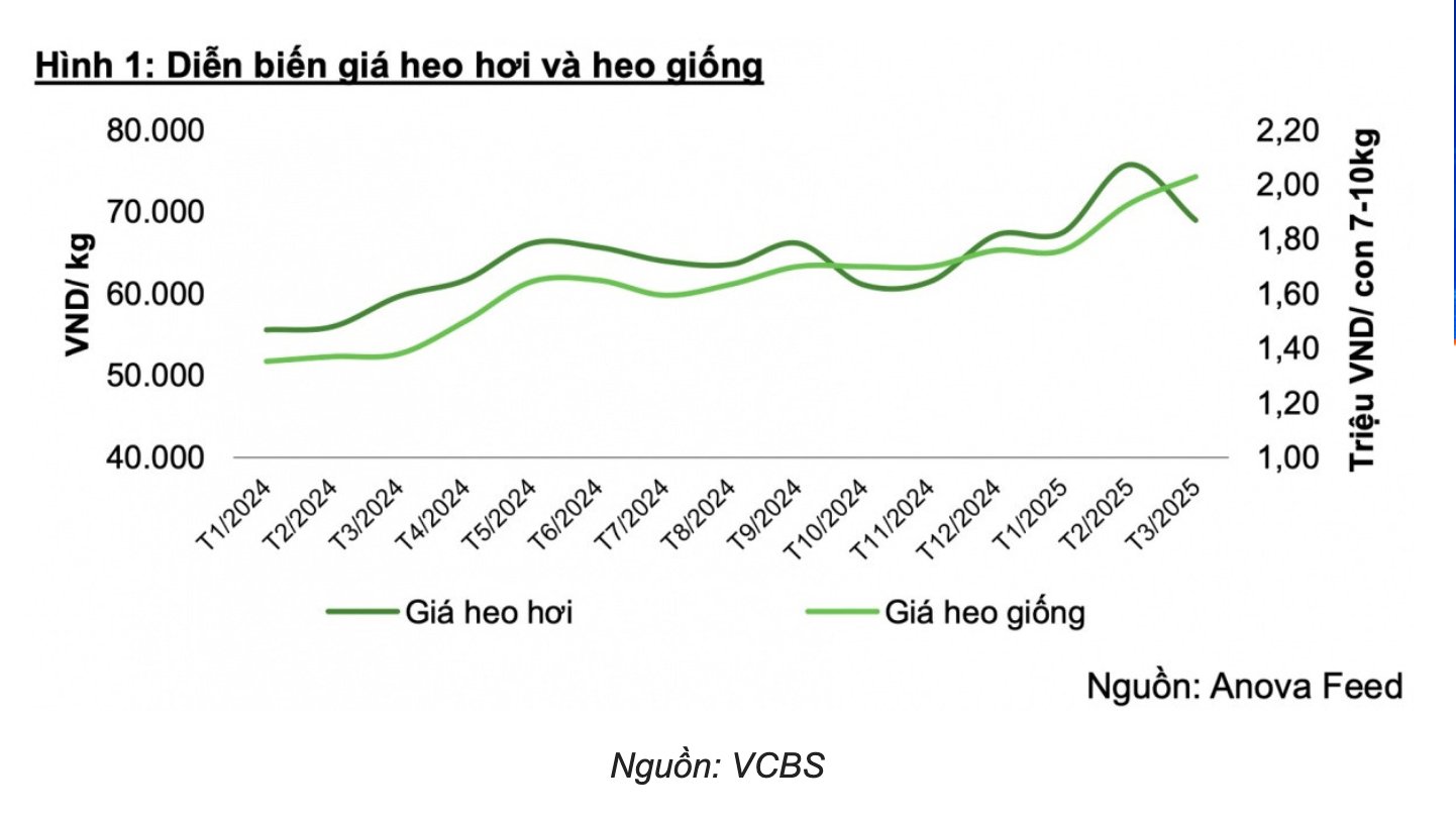 Thịt lợn đắt giá, lợi nhuận năm 2025 của Dabaco vượt 1.600 tỷ đồng? - Ảnh 1 Thịt lợn đắt giá, lợi nhuận năm 2025 của Dabaco vượt 1.600 tỷ đồng? - Ảnh 1