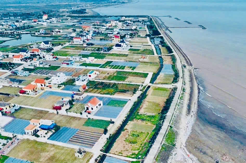 Đường lớn mở về biển Quất Lâm: Đất nền vào 'sóng', đầu cơ đẩy giá - Ảnh 4 Đường lớn mở về biển Quất Lâm: Đất nền vào 'sóng', đầu cơ đẩy giá - Ảnh 4