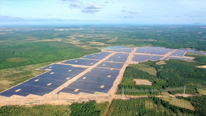 Chủ dự án điện mặt trời Lộc Ninh 4 bị cưỡng chế thuế hơn 441,9 tỷ đồng. Chủ dự án điện mặt trời Lộc Ninh 4 bị cưỡng chế thuế hơn 441,9 tỷ đồng.