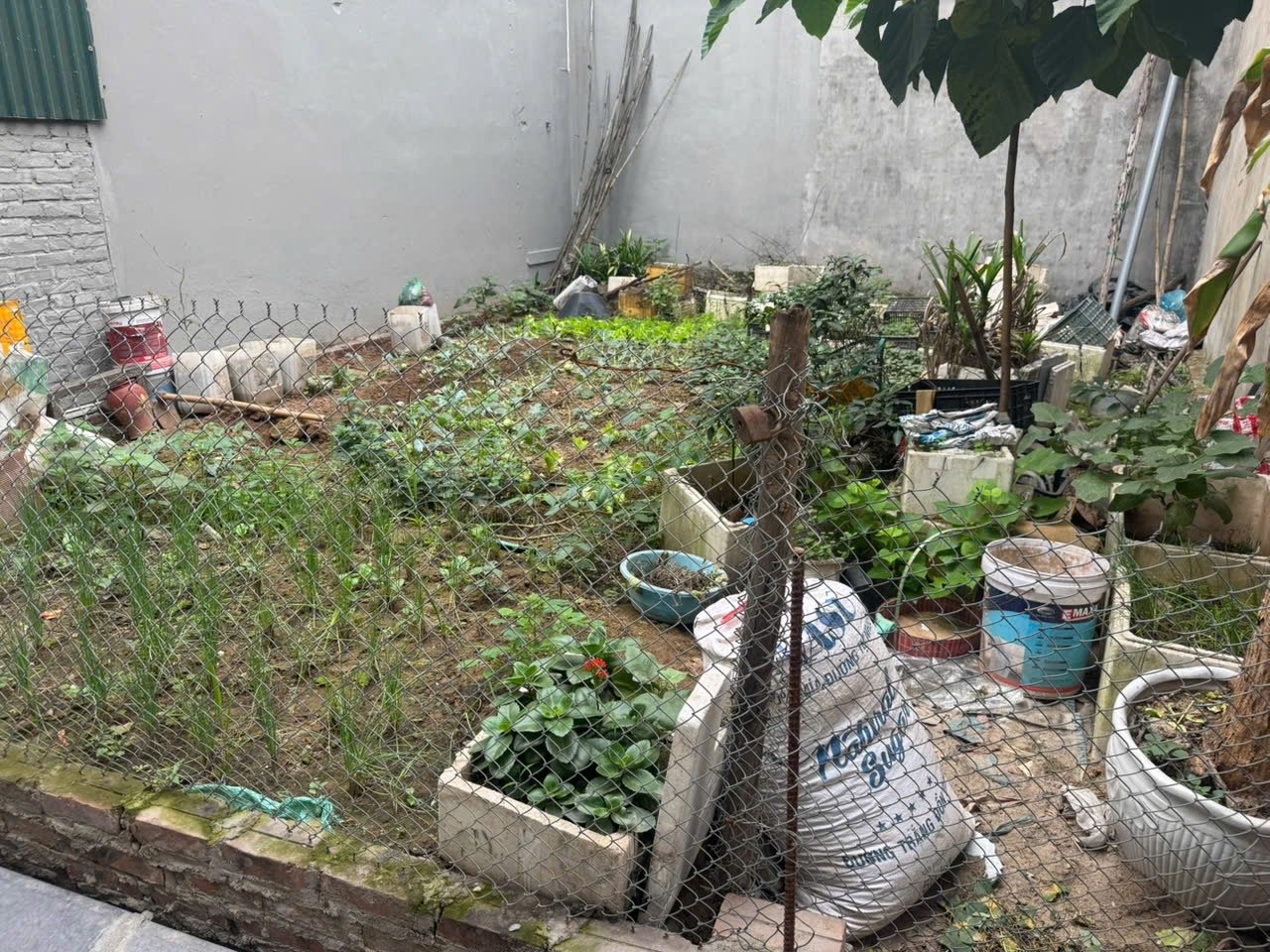 Lô đất hơn 90 triệu đồng/m2 vẫn chưa có khách mua. Lô đất hơn 90 triệu đồng/m2 vẫn chưa có khách mua.