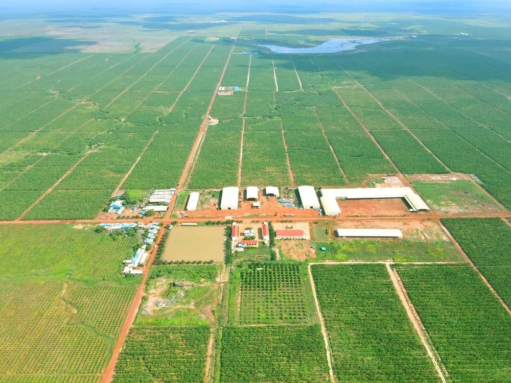 C.P. Việt Nam và cuộc đấu với các tập đoàn nội địa - Ảnh 6 C.P. Việt Nam và cuộc đấu với các tập đoàn nội địa - Ảnh 6