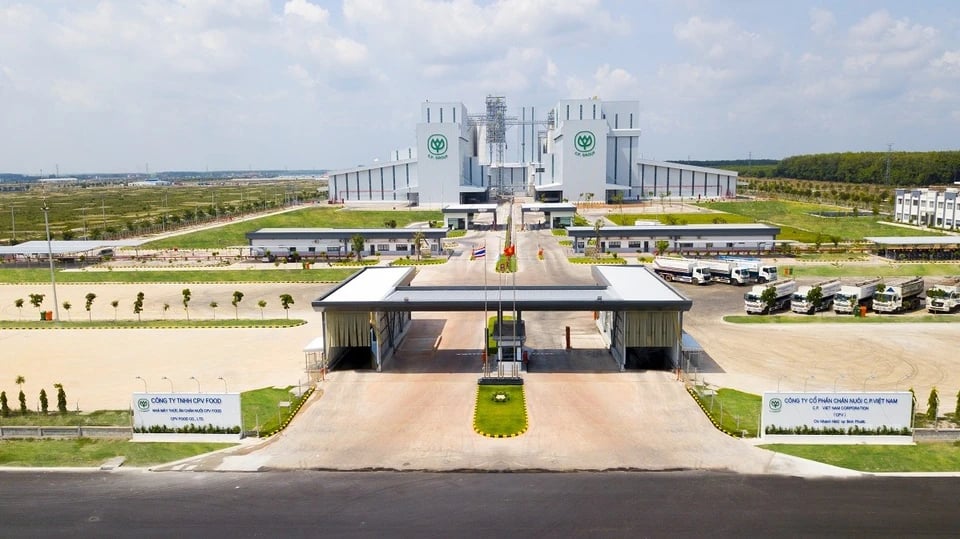 C.P. Việt Nam và cuộc đấu với các tập đoàn nội địa - Ảnh 1 C.P. Việt Nam và cuộc đấu với các tập đoàn nội địa - Ảnh 1