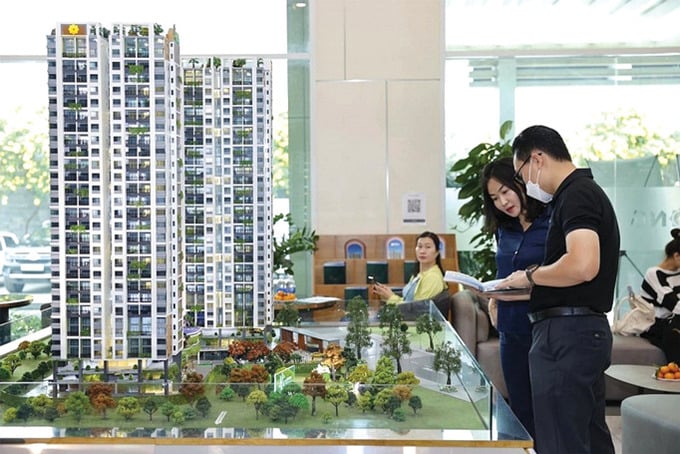 (Ảnh minh họa) (Ảnh minh họa)