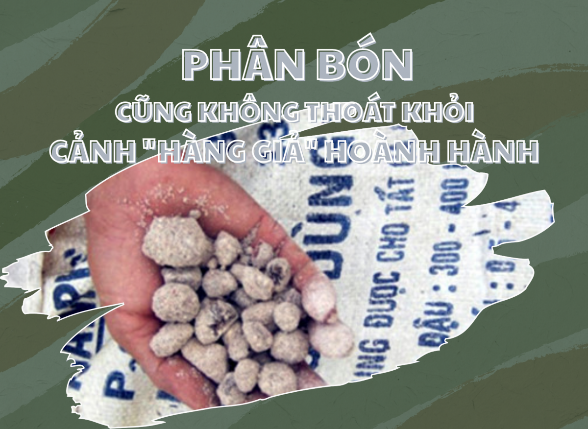 Sản xuất, buôn bán hàng giả - Khi đồng tiền làm mờ mắt - Ảnh 1 Sản xuất, buôn bán hàng giả - Khi đồng tiền làm mờ mắt - Ảnh 1