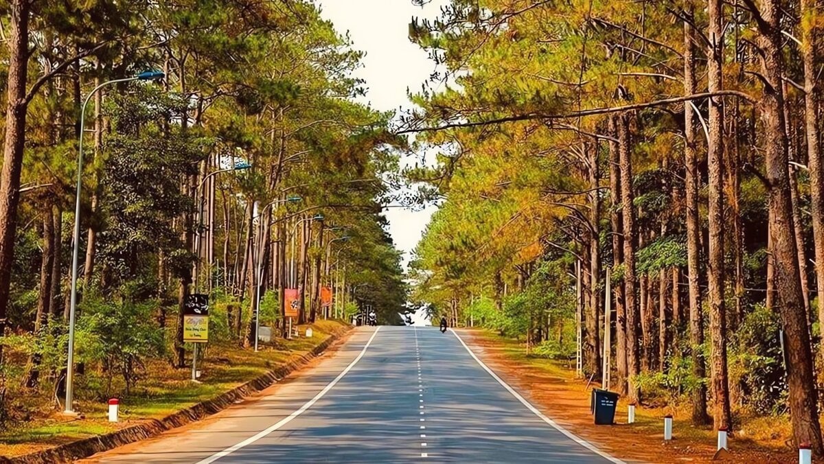 Một góc Măng Đen (Ảnh minh họa). Một góc Măng Đen (Ảnh minh họa).