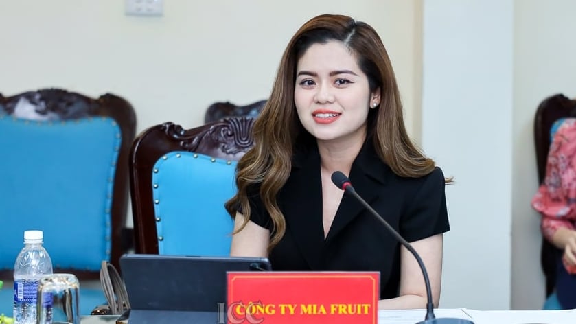Xây nhà máy chế biến trái cây 50 triệu USD: Mia Group có tiềm lực ra sao? - Ảnh 1 Xây nhà máy chế biến trái cây 50 triệu USD: Mia Group có tiềm lực ra sao? - Ảnh 1