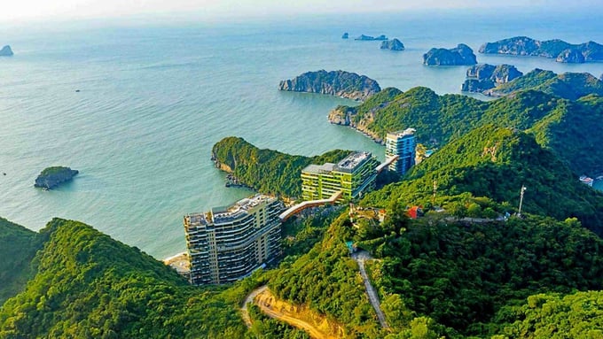 (Ảnh minh họa) (Ảnh minh họa) 