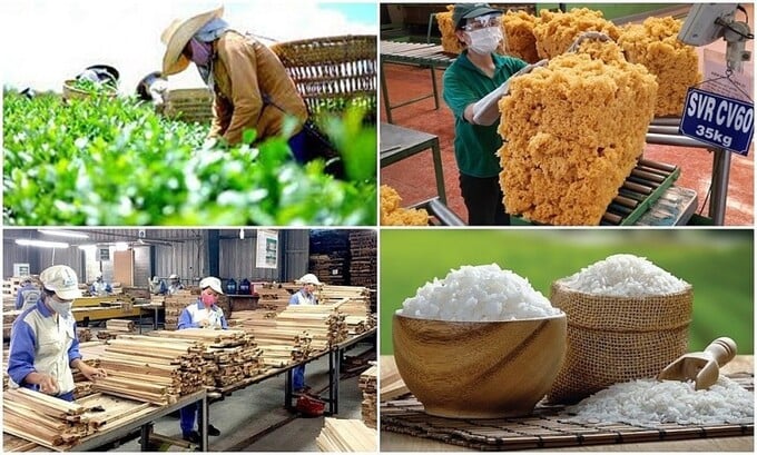 6 tháng đầu năm, xuất khẩu nông lâm thủy sản tăng 15,5% - Ảnh 1 6 tháng đầu năm, xuất khẩu nông lâm thủy sản tăng 15,5% - Ảnh 1
