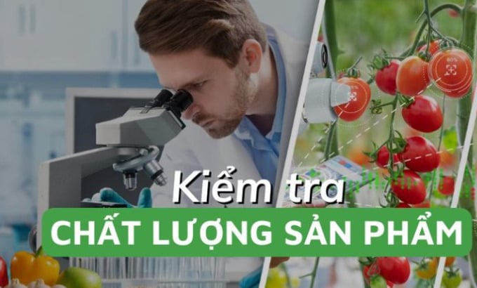 Kiểm soát chặt thực phẩm và thực phẩm bảo vệ sức khỏe theo tiêu chuẩn quốc tế - Ảnh 1 Kiểm soát chặt thực phẩm và thực phẩm bảo vệ sức khỏe theo tiêu chuẩn quốc tế - Ảnh 1